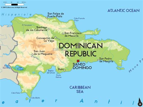 dominicans near me|More.